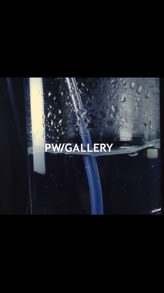 PW/GALLERYでは、坂本豊 長野光宏によるSpecial Exhibition 「AMBIENT FOR MODERN SOCIETY」 を開催中。

皆様のご来場心よりお待ちしております。

————————————

AMBIENT FOR MODERN SOCIETY 
@yukatashb
@naganomit

◻︎展示日時
10月26日(土)〜11月4日(月)
Open/13:00〜18:00/Close
10月28日(月)、10月29日(火)休廊
入場無料

————————————

坂本豊
長崎出身。ドイツ・ベルリンでの活動を経て帰国。シンセサイザーによる擬似自然音景「S.V.N.S.」を用いた独自のサウンドで、聴覚体験を通じて人々の意識を刺激する。モジュラーシンセサイザーを使ったライブや、国内アンビエントレーベル「Medium」からのアルバムリリースなど、精力的に活動中。九州産業大学では「サウンドデザイン」と「サウンドアート」の非常勤講師も務め、音楽制作の技術指導も行なっている。

————————————

長野光宏
福岡出身の映像作家。平面投影やビデオインスタレーションなど、視覚芸術を中心に活動。特に「認識と世界の関係」をテーマに、多様な表現を展開。サウンドや絵画など、他の芸術分野とのコラボレーションも積極的に行う。近年はグループ活動も開始。九州産業大学や専門学校で、映像制作やメディアアートに関する講義も担当し、後進の育成にも力を入れている。

————————————

※天候不良などで臨時休業する場合がございます。ご来場いただく前に @pwgallery_nagasaki のInstagramストーリーをご確認ください。

お問合わせ
PW/GALLERYのInstagramメッセージまたは、下記メールアドレスに問い合わせくださいませ。
studiohizenllc@gmail.com

————————————

@yukatashb
@naganomit
@pwgallery_nagasaki 

#長崎アート #長崎ギャラリー #長崎 #nagasaki #アート #art #pwgallery #yutakasakamoto #mitsuhironagano #坂本豊 #長野光宏